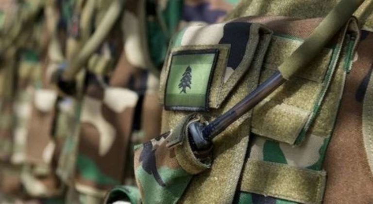 إطلاق النار على أحد عسكريي الجيش وخطفه من قبل العدو الإسرائيلي