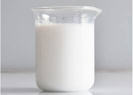 حليب الإبل الكنز الأبيض المنسي.. فوائده الغذائية والعلاجية ستدهشك