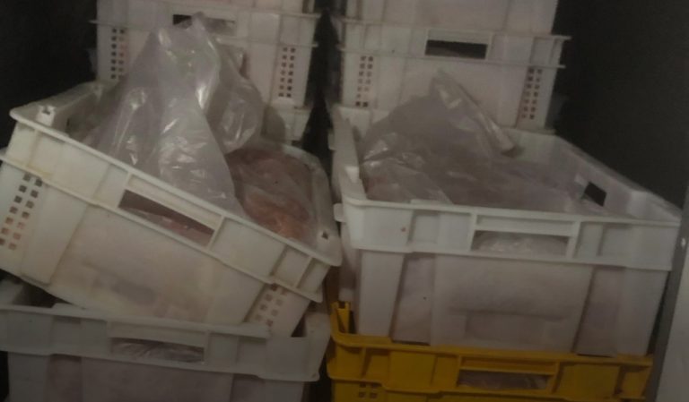 بالصورة: ضبط أطنان من الدجاج المهرّب