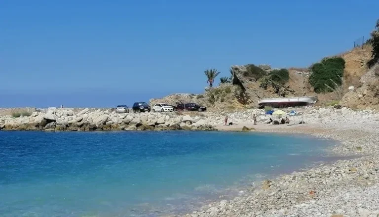 بالصورة دولفين كبير يثير فضول رواد شاطئ جبيل بعد ظهوره مصابًا