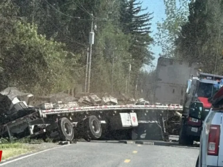 بالفيديو بعد انقلاب شاحنة. النحل يغزو واشنطن