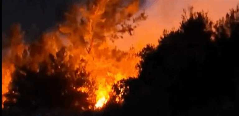 حريق هائل في بلدة لبنانية يقترب من المنازل