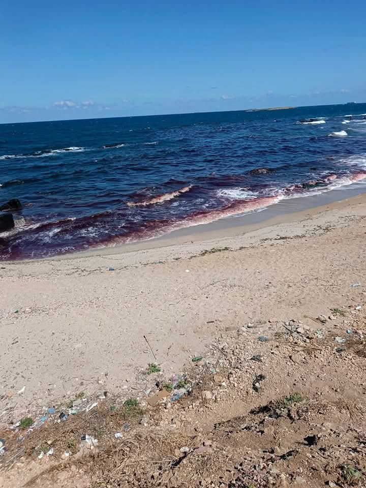 بالصور مشهد غريب يثير استغراب المواطنين على احدى الشواطئ في مدينة طرابلس