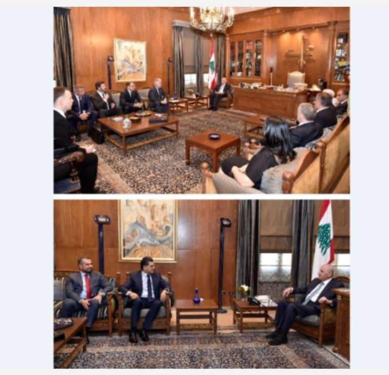 سلسلة لقاءات لبري في عين التينة