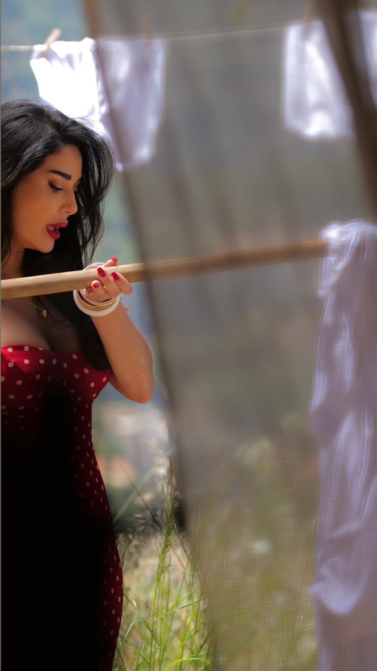 جو بو عيد يعود مع سيرين عبد النور!