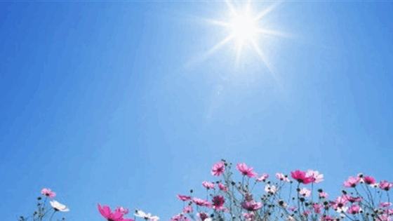 الحرارة ستتجاوز الـ37 درجة..