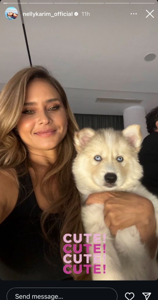 نيللي كريم تخطف الأنظار في أحدث ظهور لها