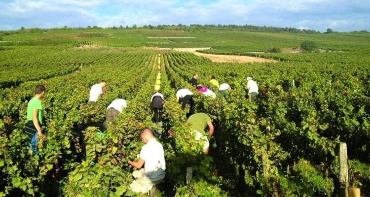 نقابة المزارعين في الهرمل: لعدم إعطاء تصريف الإنتاج الأولوية