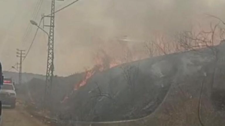 حريق في تلة لوبيا – القليعة يتمدّد نحو بساتين الزيتون