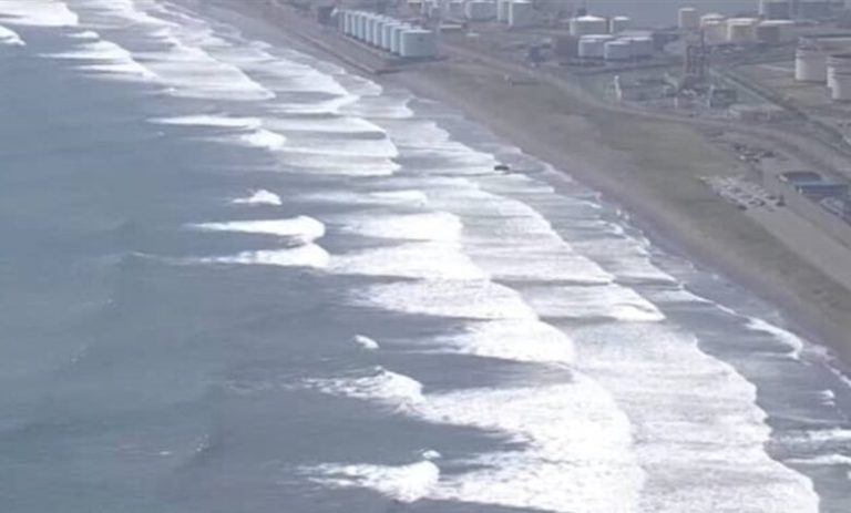 هل تنبأت رسامة يابانية بزلزال روسيا 2025؟