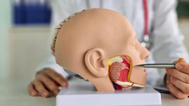 أول لسان اصطناعي في العالم.. يتذوق ويتعلم مثل البشر