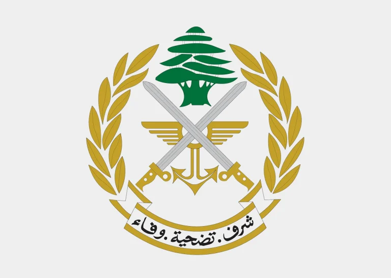 العثور على صواعق غير منفجرة في باتوليه والجيش يعمل على تفكيكها