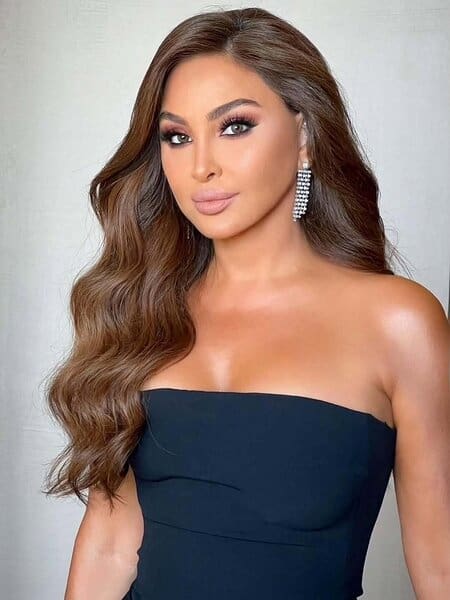 قضية نصب إليسا: الأمن يوقف مشتبهاً به والتحقيقات تكشف خفايا هروب المتهم الرئيسي