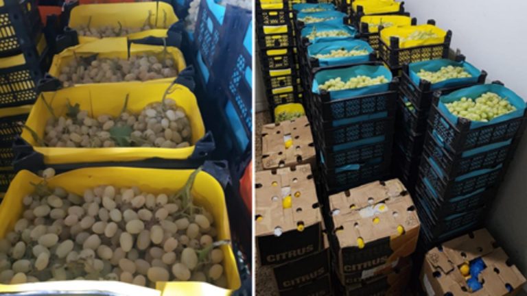 الزراعة والجمارك تضبط منتجات زراعية مهرّبة بقيمة تتجاوز المليار ليرة