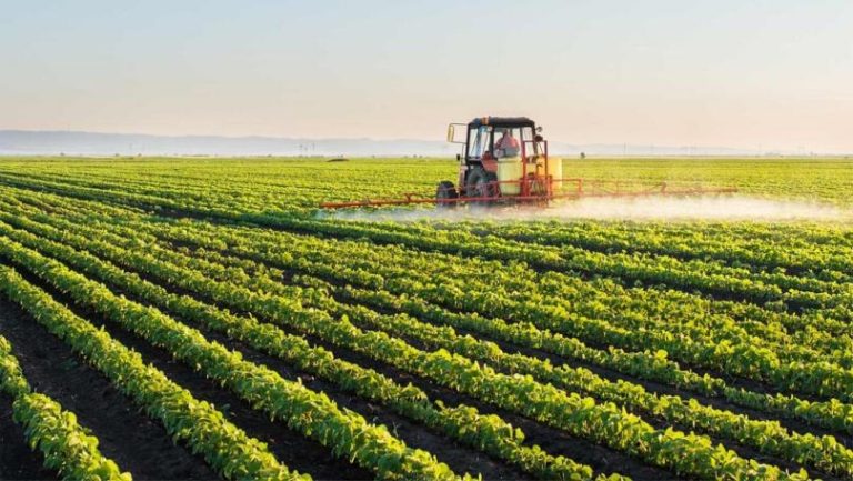 ورشة عمل بعنوان “لبنان نحو الزراعة الذكية” تسلط الضوء على دور الذكاء الاصطناعي في تعزيز الاستدامة الزراعية