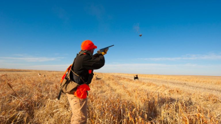 وزارة البيئة تنفي فتح موسم الصيد وتؤكد أن القرار بيد “المجلس الأعلى للصيد البري