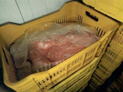 لحوم دجاج فاسدة في السوق… إقفال مسلخ غير شرعي بالشمع الأحمر في البقاع