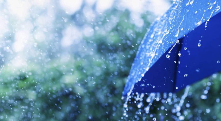 “الشتوى الأولى” في هذا الموعد!