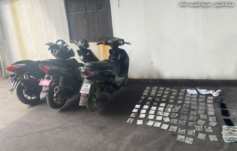 الجيش يلاحق المخلين بالأمن والمتورطين في الاتجار بالمخدرات، ويوقف 10 أشخاص ويضبط كمية كبيرة من الأسلحة