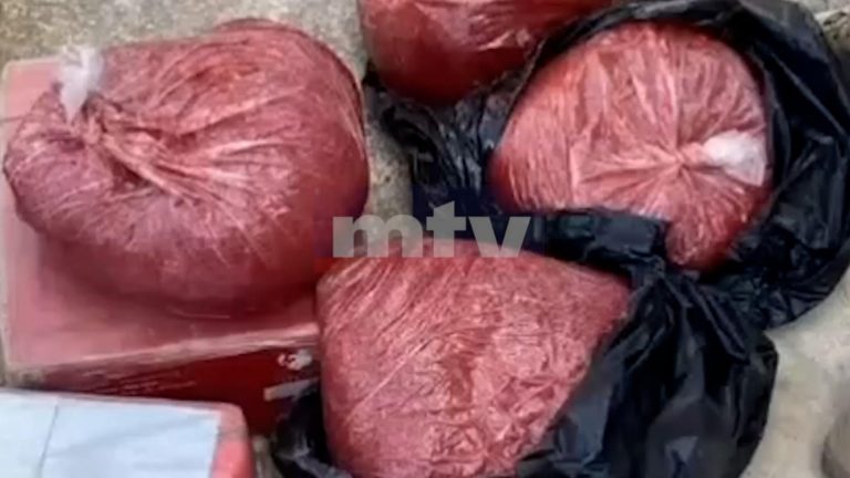 توقيف “فان”… وضبط معسّل ودخان مهرّب ومزوّر