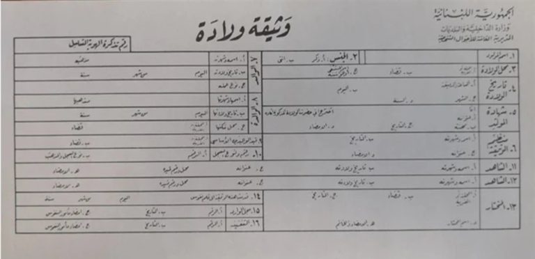 بالأرقام.. اكتشفوا عدد “ولادات ووفيات لبنان” في يومٍ واحد