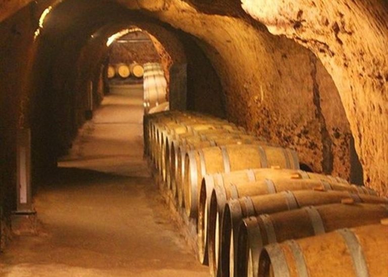 نائب يطالب بتحويل أنفاق “الحزب” الى منشآت لتعتيق النبيذ!