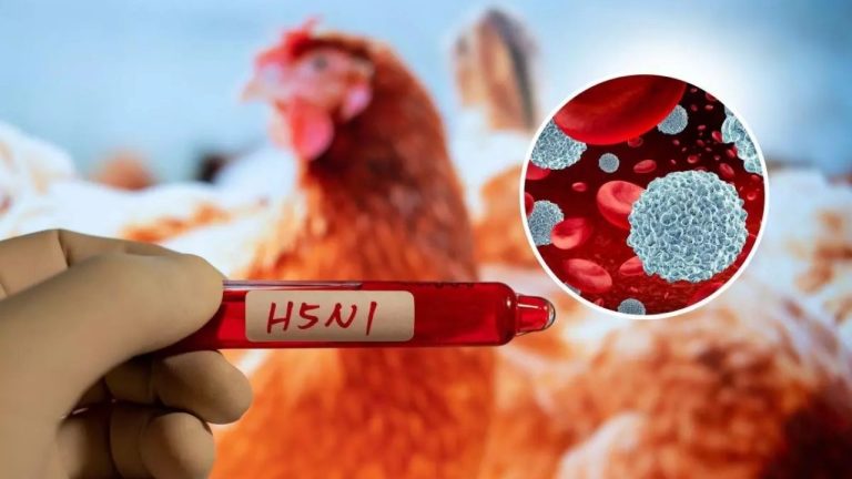 إيران تبلغ عن تفشٍ لسلالة H5N1 في البلاد