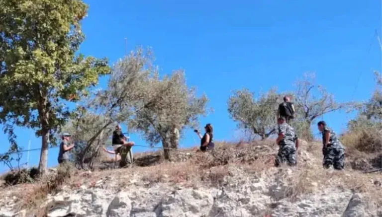 بالأرقام الصادمة: إسقاط “أكبر مذبحة صيد” في تاريخ لبنان