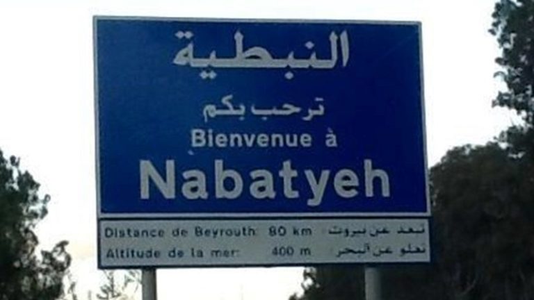 وقفة احتجاجية في النبطية رفضاً لقرار براءة الذمة لشركتي الخليوي