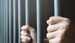 توقيف مواطنة ومعقّب معاملات بجرم تزوير مستندات تملّك في صيدا