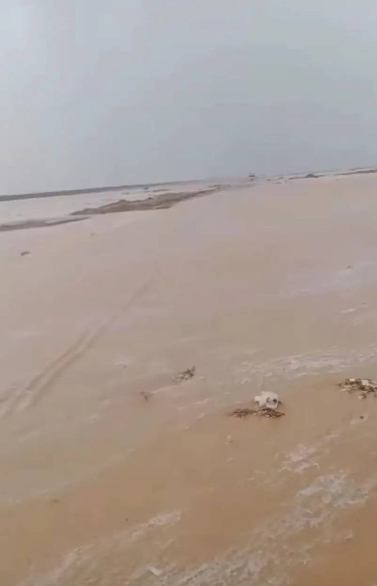 رفع حالة الطوارئ… سيول وأمطار رعدية تضرب مصر (فيديو)