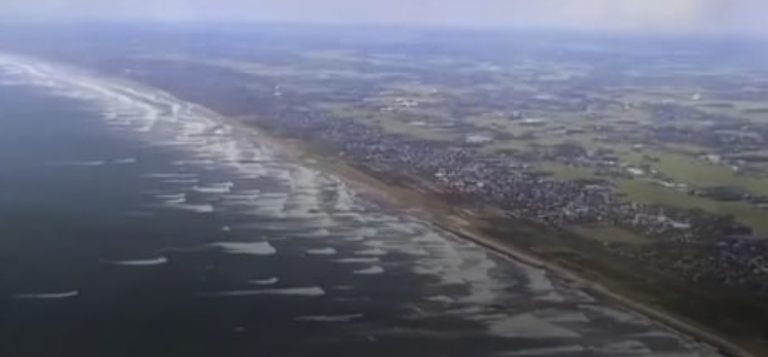 بعد زلزال… موجات تسونامي تضرب سواحل اليابان