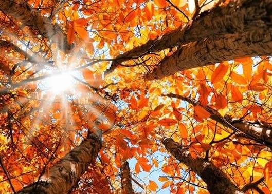 طقس خريفي مستقر ودرجات حرارة أعلى من معدلاتها الموسمية