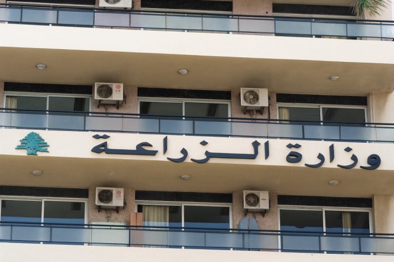 بشأن الحمّى القلاعية… تطمينات من “الزراعة” وخطة لاحتواء انتشارها