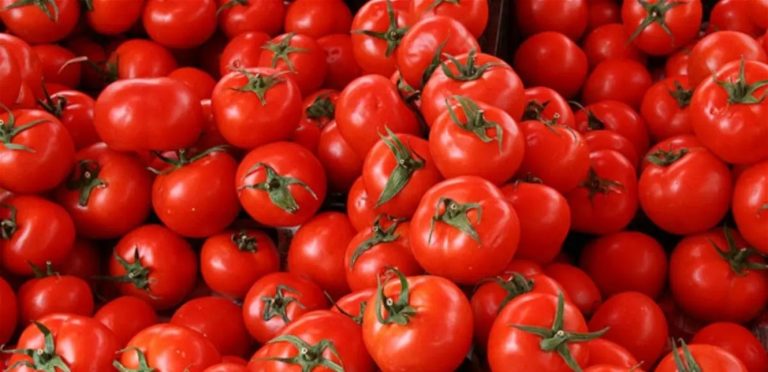 بينها البندورة… سوريا تُوقف إستيراد منتجات زراعيّة