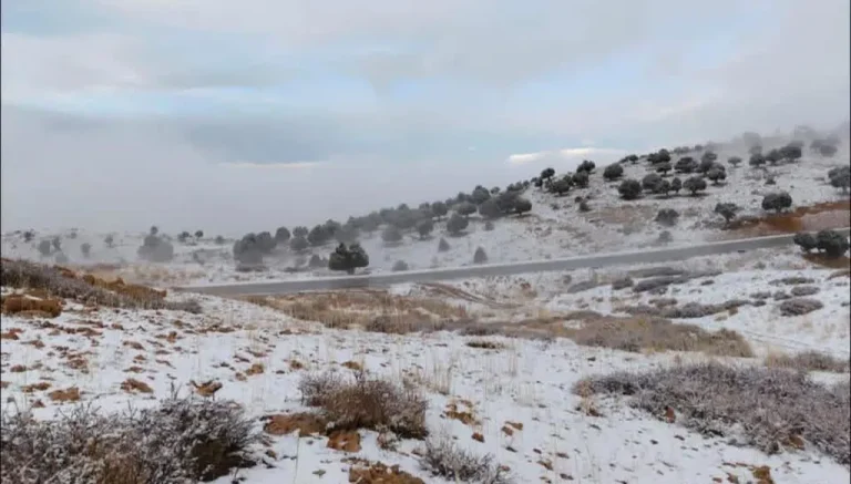 كيف سيكون طقس لبنان في الأيام المقبلة؟
