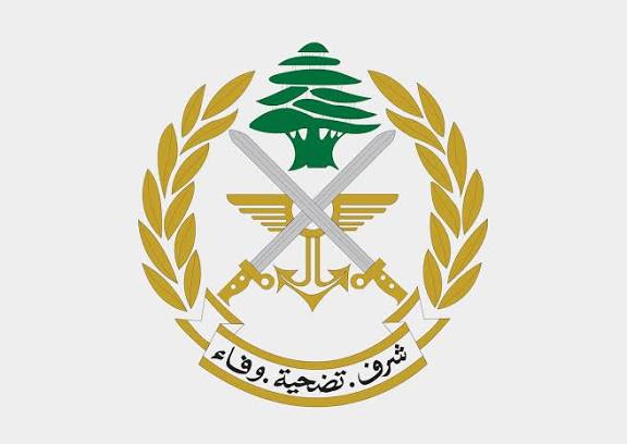 الجيش : تمارين تدريبية بالرمايات الحية في مزرعة حنوش