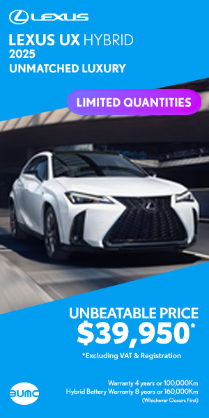 new UX lexus 300x600 4-12